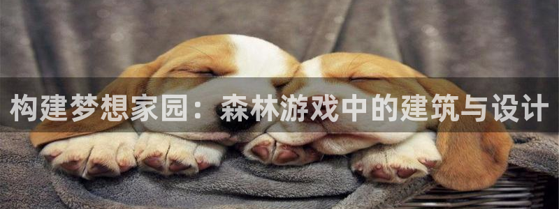 富联娱乐平台特点和优势：构建梦想家园：森林游戏中的建筑与设计