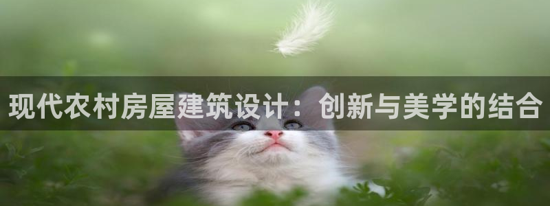 富联娱乐招商括判官333OO：现代农村房屋建筑设计：创新与美学的结合