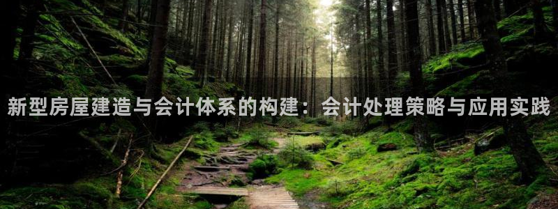 联富娱乐有限公司：新型房屋建造与会计体系的构建：会计处理策略与应用实践