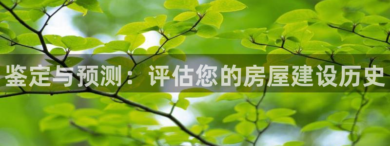富联娱乐官网首页：鉴定与预测：评估您的房屋建设历史