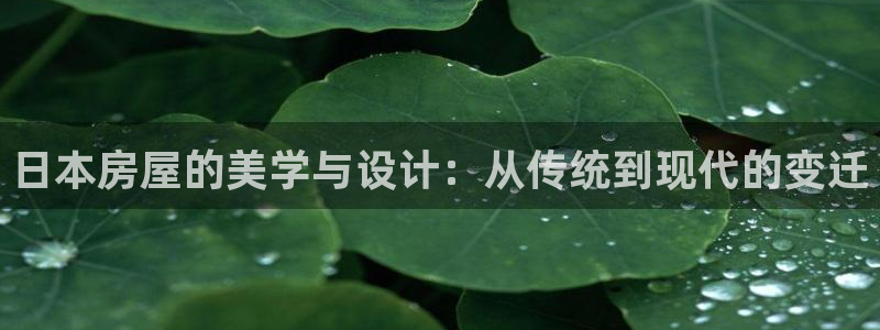 富联娱乐注册地址上海：日本房屋的美学与设计：从传统到现代的变迁