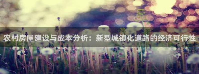 富联娱乐总代理电话地址：农村房屋建设与成本分析：新型城镇化道路的经济可行性