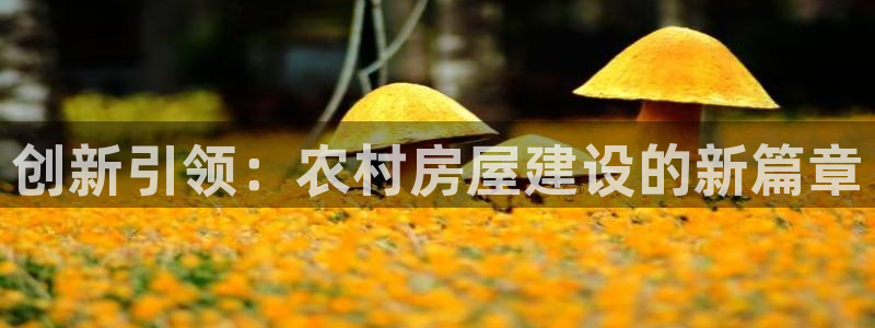 富联娱乐资讯官网下载