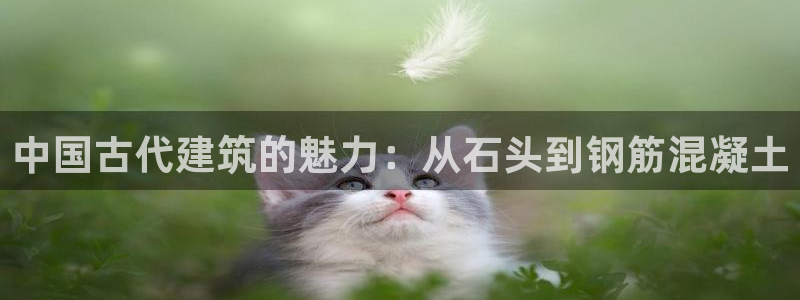 富联娱乐QQ