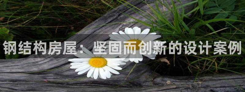 富联2娱乐六七五一38：钢结构房屋：坚固而创新的设计案例
