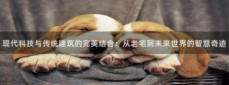 富联娱乐总代理是谁