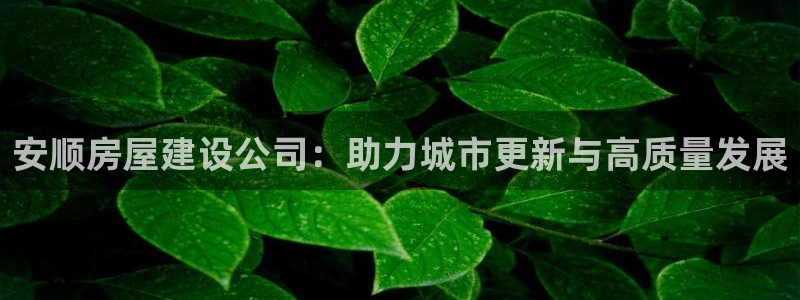 富联娱乐主营业务：安顺房屋建设公司：助力城市更新与高质量发展