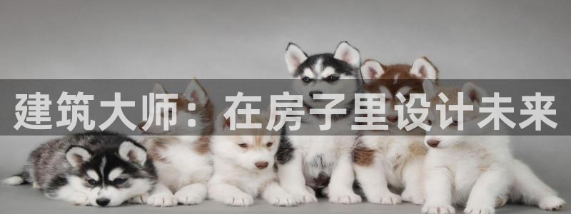 富联娱乐是什么公司电话