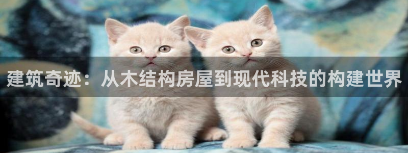 富联娱乐首页网址是什么：建筑奇迹：从木结构房屋到现代科技的构建世界