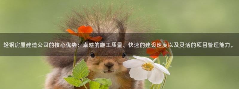 富联娱乐招商型判官333OO：轻钢房屋建造公司的核心优势：卓越的施工质量、快速的建设速度以及灵活的项目管理能力。