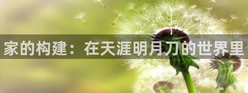 富联娱乐招商杂判官333OO：家的构建：在天涯明月刀的世界里