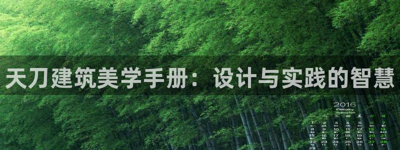富联娱乐平台是什么软件：天刀建筑美学手册：设计与实践的智慧