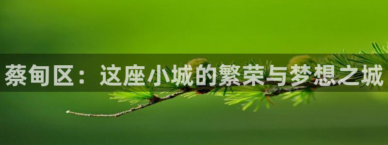 莱西联富娱乐会所电话：蔡甸区：这座小城的繁荣与梦想之城