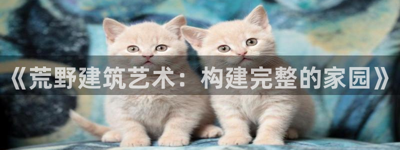 富联娱乐信誉怎么样：《荒野建筑艺术：构建完整的家园》