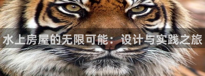 富联娱乐服务站怎么样：水上房屋的无限可能：设计与实践之旅