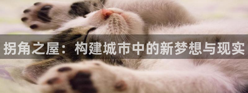 富联娱乐力67OO6：拐角之屋：构建城市中的新梦想与现实