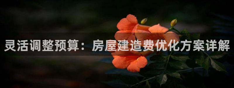 富联娱乐注册登录：灵活调整预算：房屋建造费优化方案详解