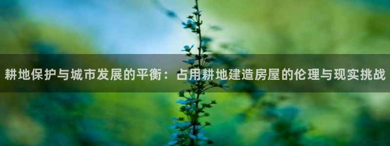 富联娱乐注册解判官333OO：耕地保护与城市发展的平衡：占用耕地建造房屋的伦理与现实挑战