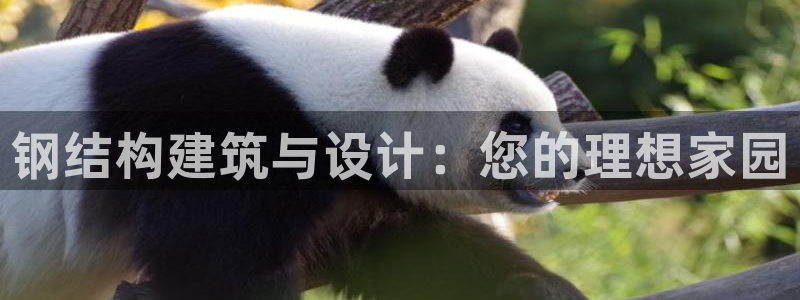 富联娱乐主管是谁判官333OO：钢结构建筑与设计：您的理想家园