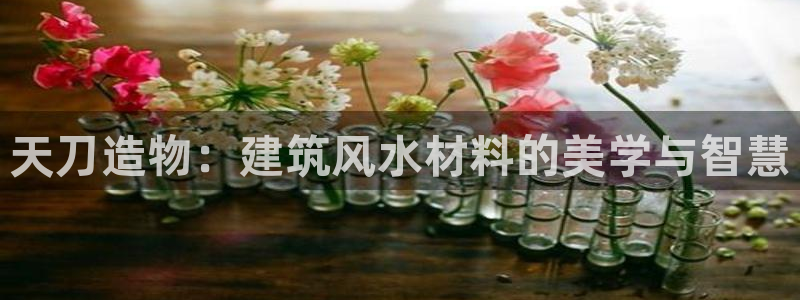 富联新村二区有啥娱乐：天刀造物：建筑风水材料的美学与智慧
