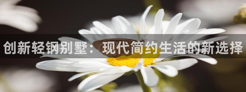 富联娱乐首页登录不了：创新轻钢别墅：现代简约生活的新选择
