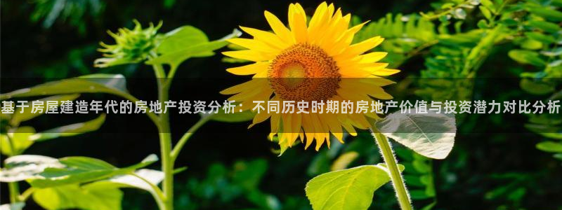 富联娱乐主管后原判官333OO：基于房屋建造年代的房地产投资分析：不同历史时期的