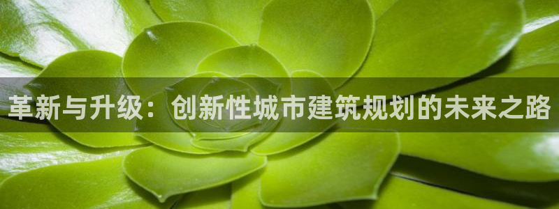 富联娱乐主管地判官333OO：革新与升级：创新性城市建筑规划的未来之路