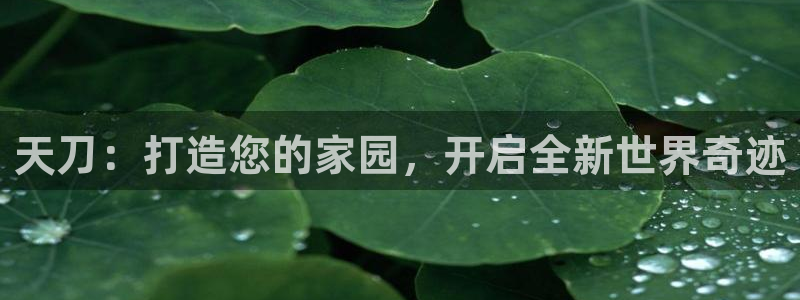 富联娱乐app更新版本：天刀：打造您的家园，开启全新世界奇迹