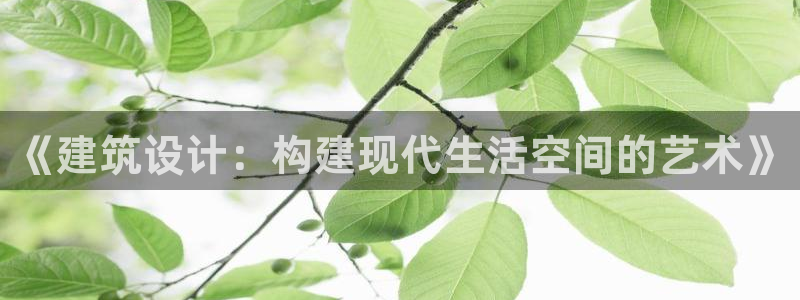 富联娱乐贴吧：《建筑设计：构建现代生活空间的艺术》