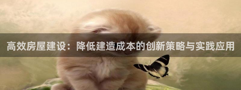 富联娱乐乙67OO6：高效房屋建设：降低建造成本的创新策略与实践应用