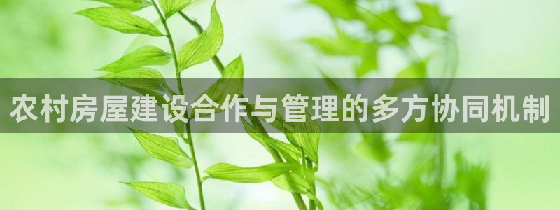 富联娱乐平台能挣到钱吗：农村房屋建设合作与管理的多方协同机制
