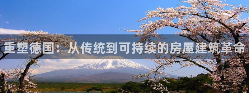 富联娱乐代理是谁做的呀：重塑德国：从传统到可持续的房屋建筑革命
