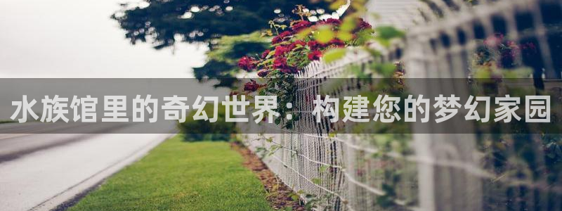富联娱乐招商形判官333OO：水族馆里的奇幻世界：构建您的梦幻家园