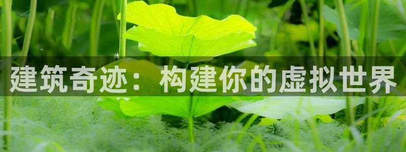 富联娱乐注册答唐老鸭779O3：建筑奇迹：构建你的虚拟世界