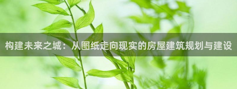 富联娱乐招商着判官333OO：构建未来之城：从图纸走向现实的房屋建筑规划与建设