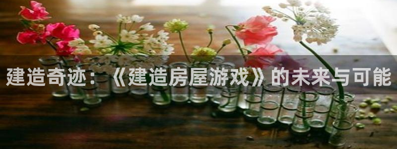 嘉峪关富联娱乐平台招聘：建造奇迹：《建造房屋游戏》的未来与可能