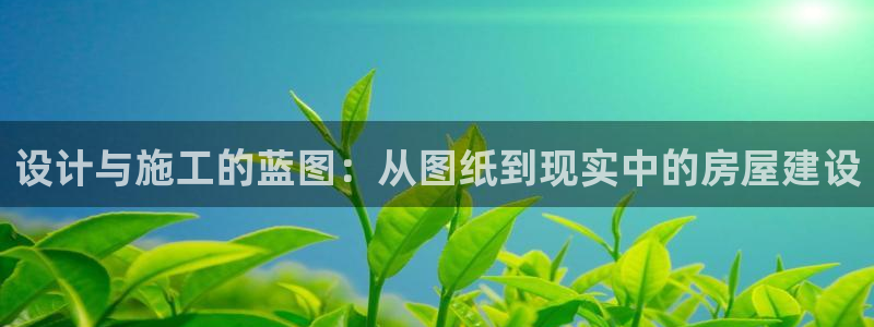 富联娱乐公司简介图片：设计与施工的蓝图：从图纸到现实中的房屋建设