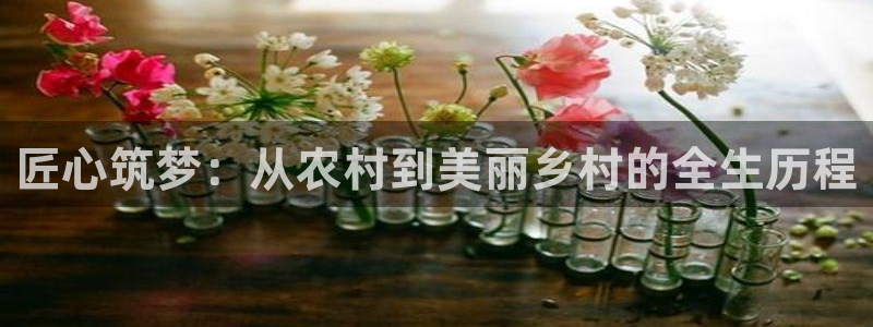 富联娱乐乞六七五一38：匠心筑梦：从农村到美丽乡村的全生历程