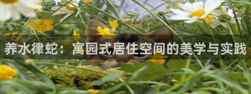 富联娱乐最厉害三个网站是什么