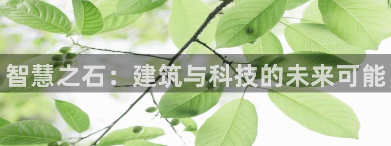 富联2娱乐贴吧官网首页