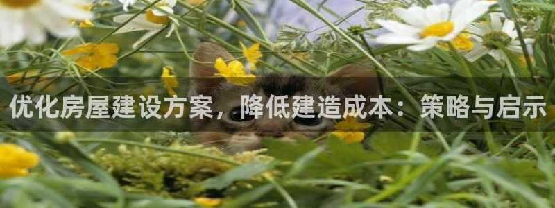 富联娱乐官网下载安卓版：优化房屋建设方案，降低建造成本：策略与启示
