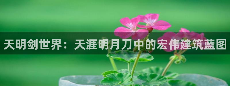 富联娱乐平台下载安装:天明剑世界:天涯明月刀中的宏伟建筑蓝图
