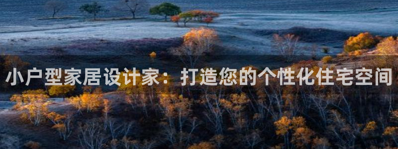 富联娱乐开户流程图：小户型家居设计家：打造您的个性化住宅空间