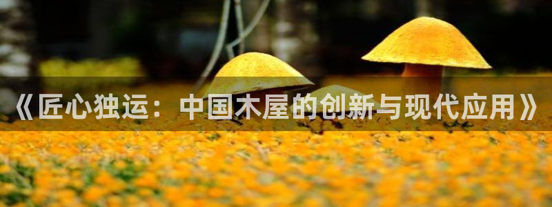 富联娱乐注册教判官333OO：《匠心独运：中国木屋的创新与现代应用》