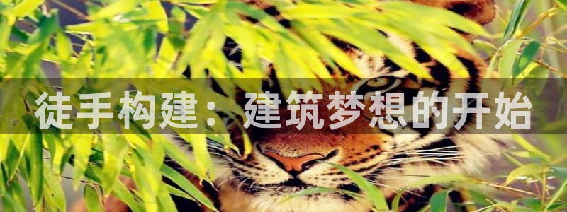 富联娱乐招商：徒手构建：建筑梦想的开始