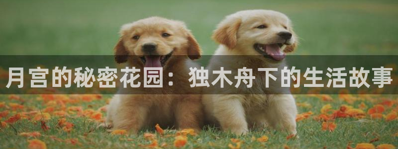 富联娱乐招商杂判官333OO：月宫的秘密花园：独木舟下的生活故事