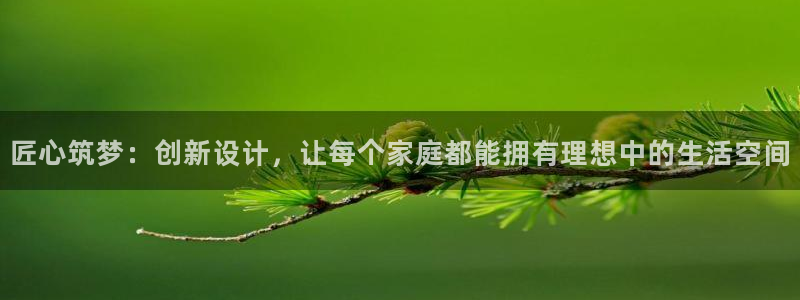 富联娱乐是什么公司：匠心筑梦：创新设计，让每个家庭都能拥有理想中的生活空间