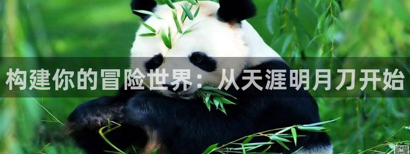 富联娱乐客户端登录不上：构建你的冒险世界：从天涯明月刀开始