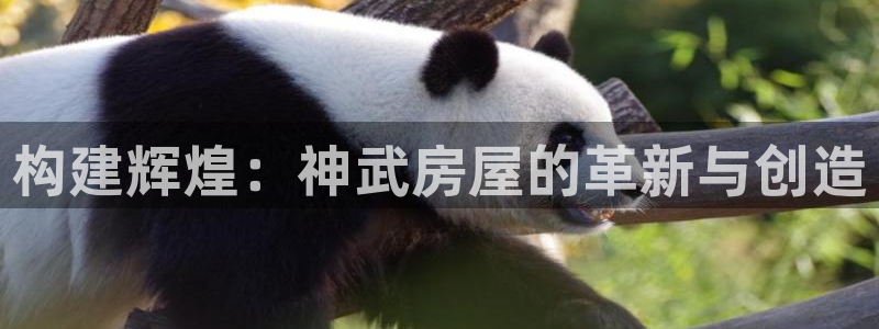 富联娱乐注册目判官333OO：构建辉煌：神武房屋的革新与创造