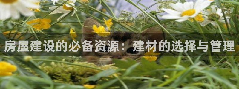 富联娱乐登录入口：房屋建设的必备资源：建材的选择与管理